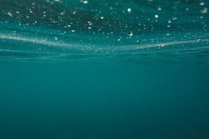 mike bell poems poetry